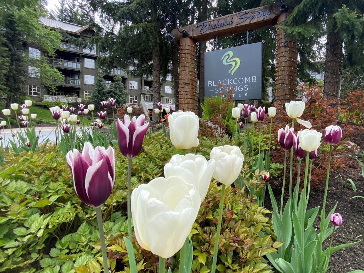 Blackcomb Springs Suites By Clique Whistler Kültér fotó